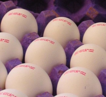 تخم مرغ با قیمت 420 تومان را فقط از میادین تره بار بخواهید