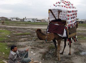 کجاوه بافی هنر مردم ترکمن