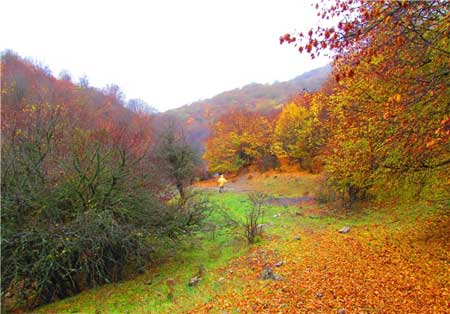 مکان‌های فوق‌العاده‌ای در طبیعت ایران که پاییز را باید در آنجا گذراند
