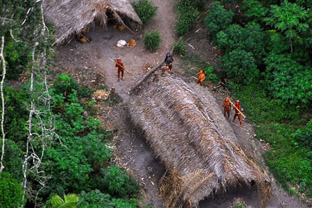 جنگل آمازون یکی از شگفتی های جهان