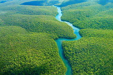 جنگل آمازون یکی از شگفتی های جهان