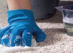 نکاتی مهم و کلیدی درباره استفاده صحیح شامپو فرش